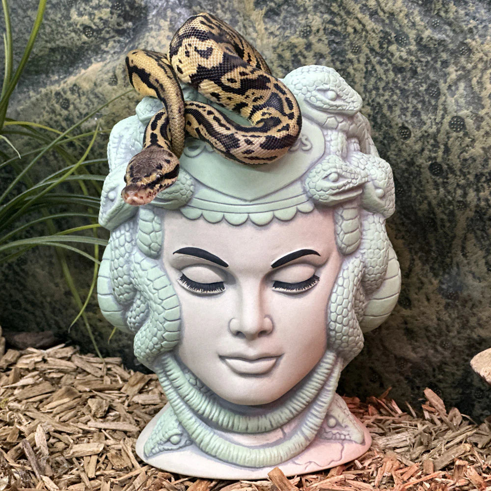 Tiki Farm - Medusa mug